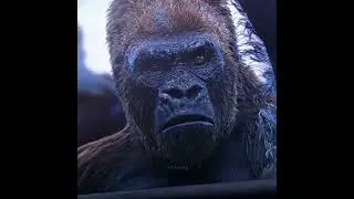 That moment you saved the whole tribe!  War for the Planet of the Apes #shorts #edit