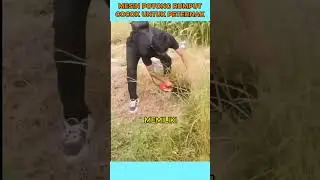 mesin pemotong rumput portabel