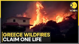 From Italy to France, Wildfires Rage Across Southern Europe Amid Record Temperatures | WION News