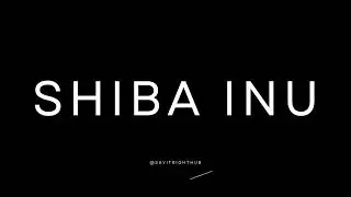 How to Pronounce Shiba Inu (Correctly) ?
