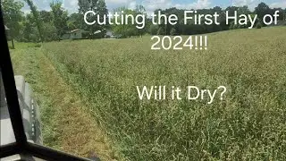 The First Hay of 2024