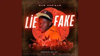 Lie or Fake