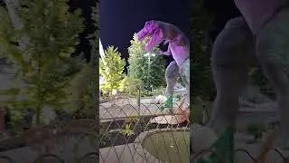 Dinosaur Adventure Golf At Niagara Falls Canada On Ham Tum TV 4 U