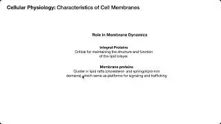 Role of Integral Proteins in Membrane Dynamics