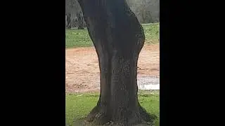 Aktiro.Assrar