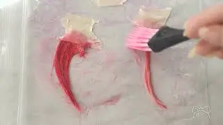 Brite Instant Colour Pink Swatching: Raw vs Pastel