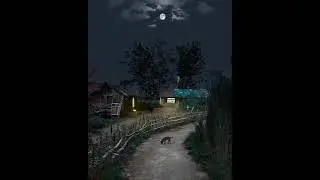 good night #trending #truehappiness #whatsapp_status #viral #happinessforever