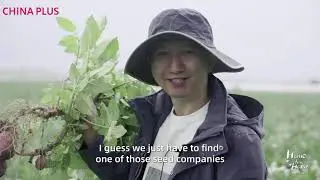 Discover the True Potato Seeds