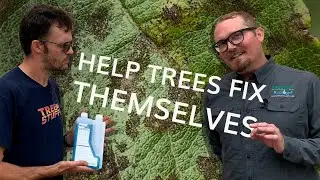 A Plant Resistance Activator? Arborjet Ecologel PHOSPHO-jet
