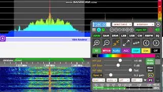 AntAudio