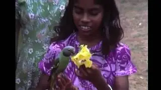 Sri Lanka 1978 Part 4