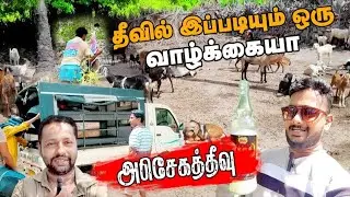 யாழ் அபிசேகத்தீவில் இப்படியும் அனுபவிக்கலாம் .!   பகுதி - 2 #jaffna #trending #tamilvlogs #vithudot