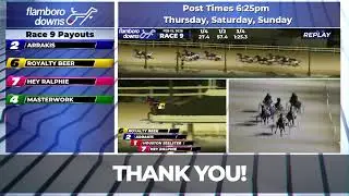 Flamboro Downs Live Stream 02/12/2026