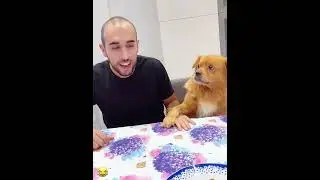 fun and engaging description about spending time with a funny dog