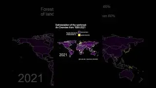 Deforestation of the Rainforest #rainforest #forest #deforestation #environment #world