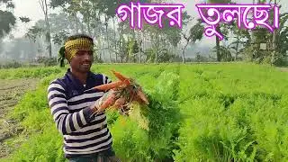 Sabji, Beauti Ful  / dilip bairagi