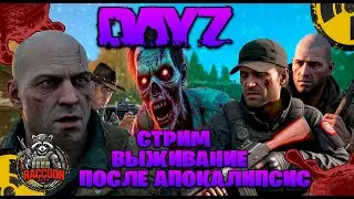 Dayz | Raccoon City  стрим выживание после апокалипсис часть #97