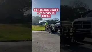 #1 Reason to Start a Tree Service in 2023