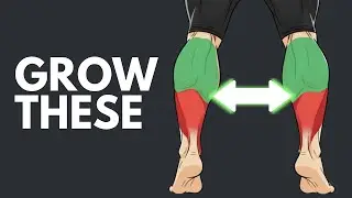 99% Train Their Calves Wrong - Here's the Actual Fix
