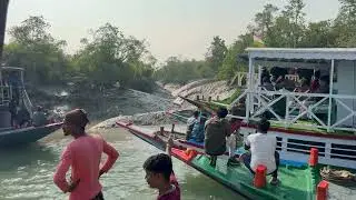 Tracking a tiger and sighting one in a Sunderban Tiger Tracking Safari