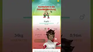 Schnell nach PVP IV suchen.