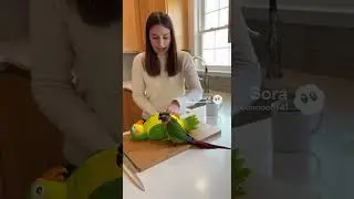 Parrot thinks she cutting a real parrot! #viral #birds