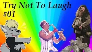 Try Not To Laugh #01
