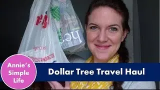 Dollar Tree Travel Haul