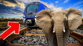 Crazy Elephant vs Train | Stops the train | BeamNG.Drive