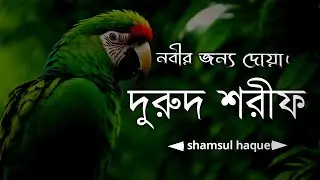 নবীর জন্য দোয়া - দুরুদ শরীফ এক ঘণ্টা। Healing Recitation of Durood Sharif (Durood e Ibrahim)