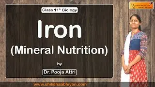Biology Mineral Nutrition ( Iron ) - #CBSE Class 11