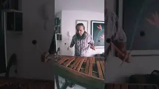 #scorpions #stilllovingyou #marimba #metalcover #epiccover #scorpionscover #marimbaplayer