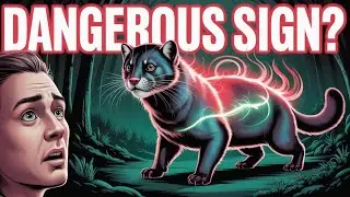 &ldquo;Fisher Cat Symbolism: What This Mysterious Creature Reveals About You!&rdquo;