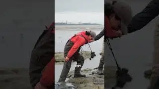 A real 'stick-in-the-mud'