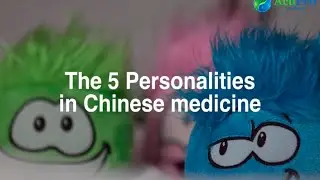 The 5 personalities in TCM