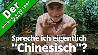 Aussaat, Anzucht, Erde? Man kann es auch übertreiben.