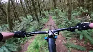 Rocky Point - MTB - The Bus