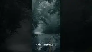 Chikkamagaluru to Sringeri || Solo ride in bike || Forest solo ride || #tourism #travel #nature #art