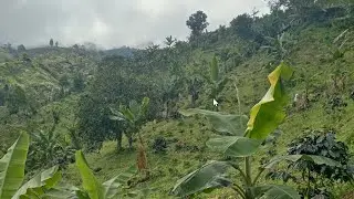 Finca Barata con Casita En Venta $22,100