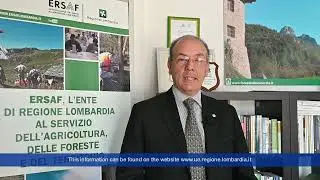 Montana174 | The funds of the Cohesion Policy in the Lombardy mountains (Italy)