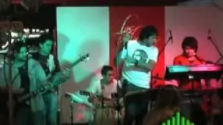 ZANGANOS EN LAS PALMERAS
