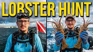 Quest For Lobster : Exploring the Depths with Hookah Diving!