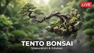 Exsekusi langsung bosku…