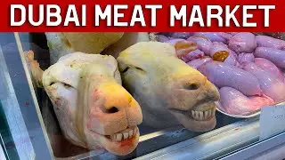 We Visit Dubai's Meat Market - A Walking Tour