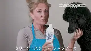 Clean Start
