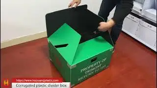 Corrugated plastic divider box
