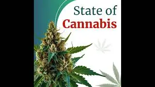 Cannabis News Weekly &ndash; Audio Podcast (Week 2025-47): Florida 2026 Legalization Bid, Virginia Reta...