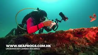 Diving with Salted Line waterproof housing for SONY a6xxx camera series