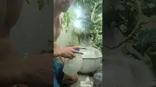 Part 3 Liquid+maintenance garden tower hydroponics system #farming #organic #hydroponicgardening
