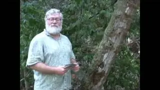 Brent and the mosses